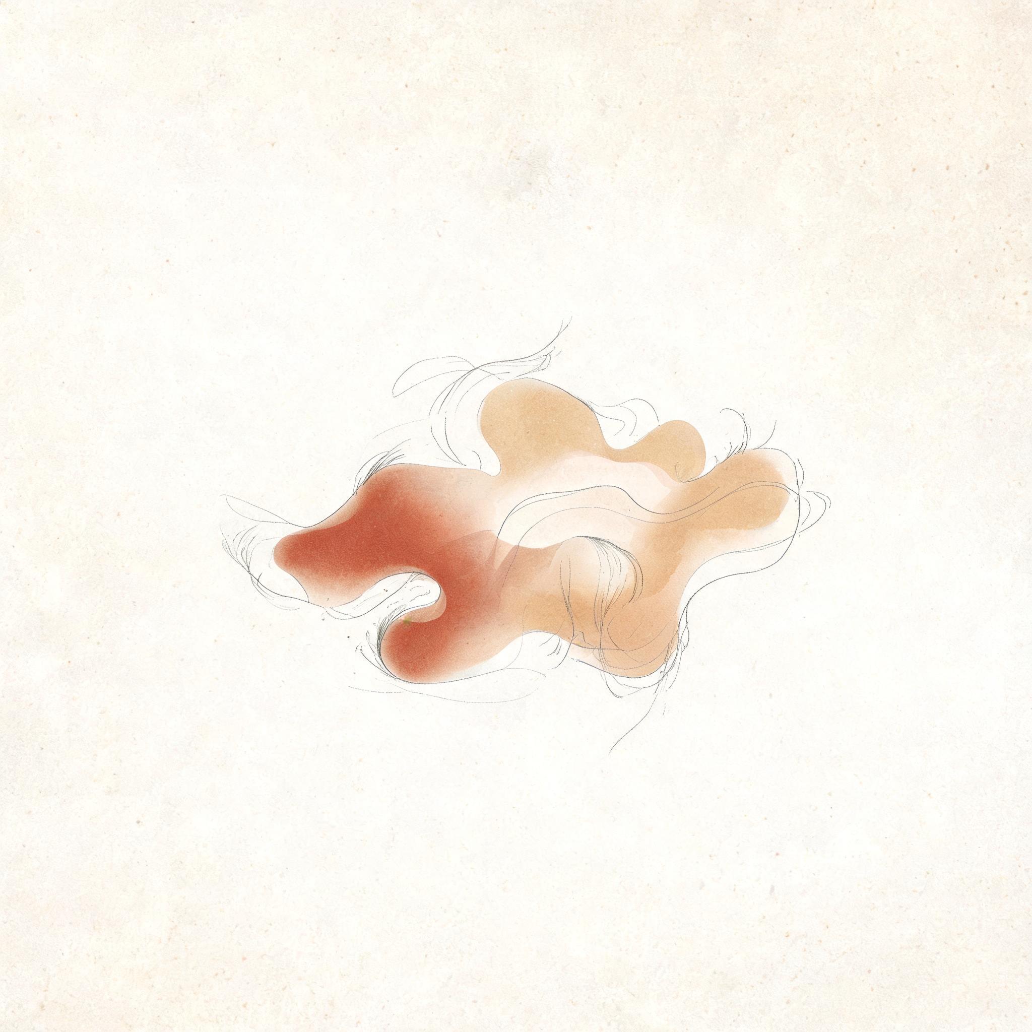 Inkwell 写作应用